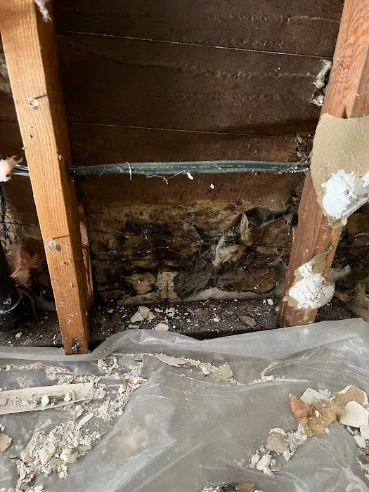 Monterey Bay Solutions Picture 2