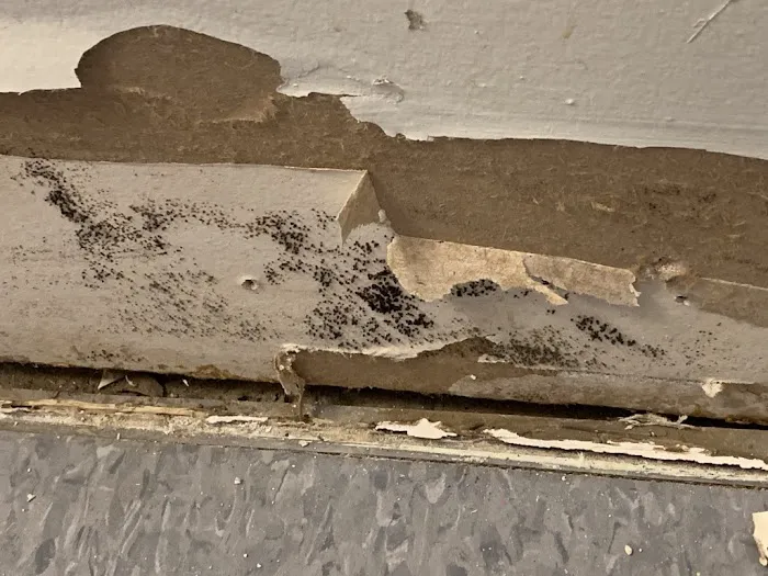 Monterey Bay Solutions Picture 7