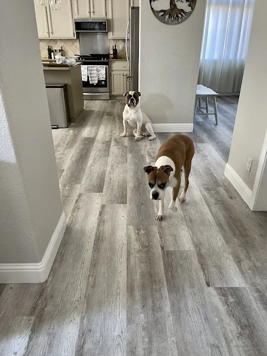 SIERRA Renovations Picture 5