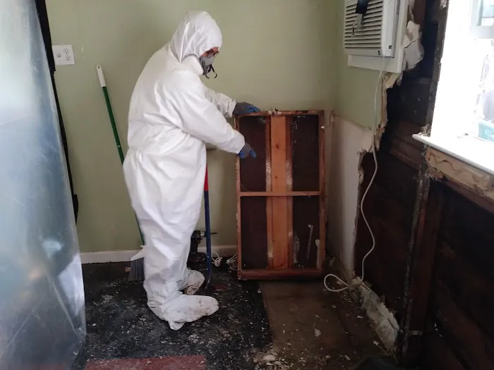 The Green Bee Restoration Picture 4