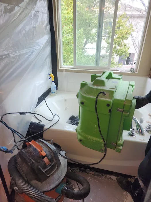 The Green Bee Restoration Picture 9