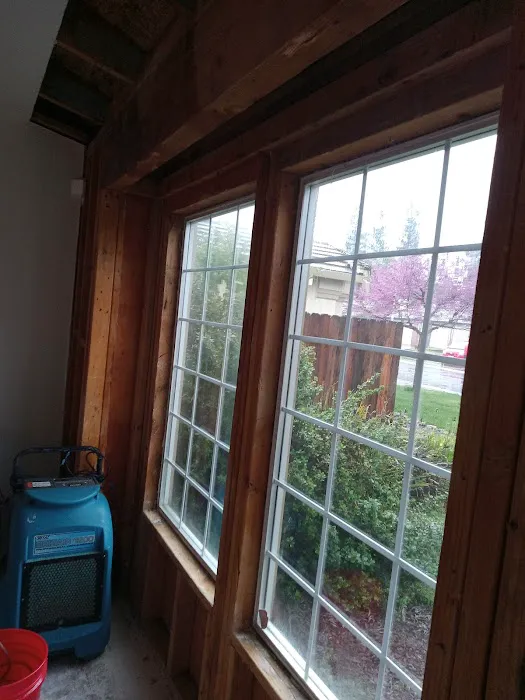 The Green Bee Restoration Picture 5