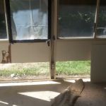 The Green Bee Restoration