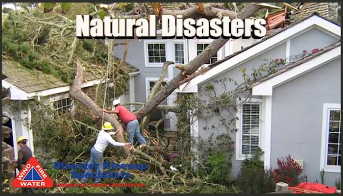 Disaster Kleenup Specialists Picture 7