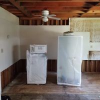 ZGREEN Restoration ico