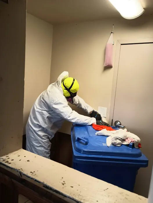 ZGREEN Restoration Picture 2