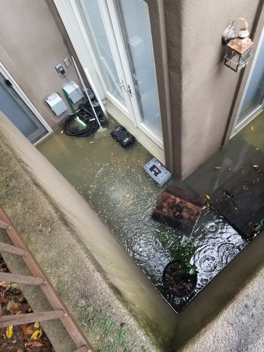 ZGREEN Restoration Picture 7