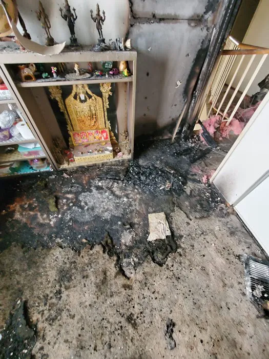 ZGREEN Restoration Picture 4