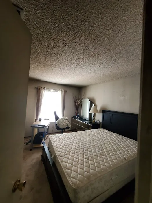 ZGREEN Restoration Picture 6