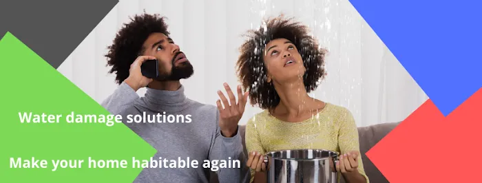 ZGREEN Restoration Picture 9