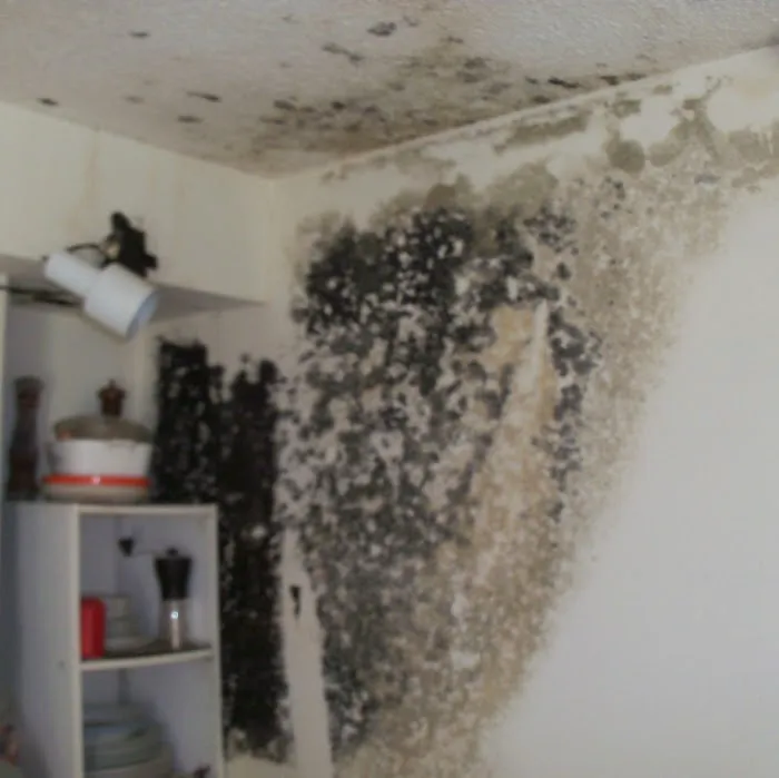 Clean-Tec Restoration and Cleaning Picture 2