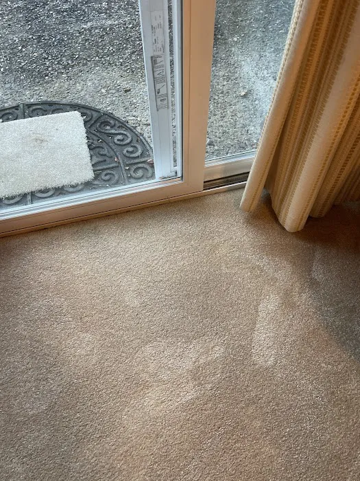 Stanley Steemer Picture 6