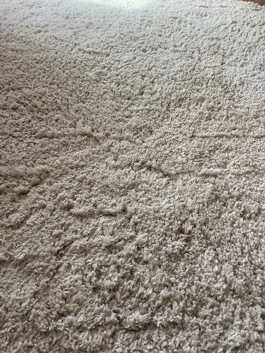 Stanley Steemer Picture 4