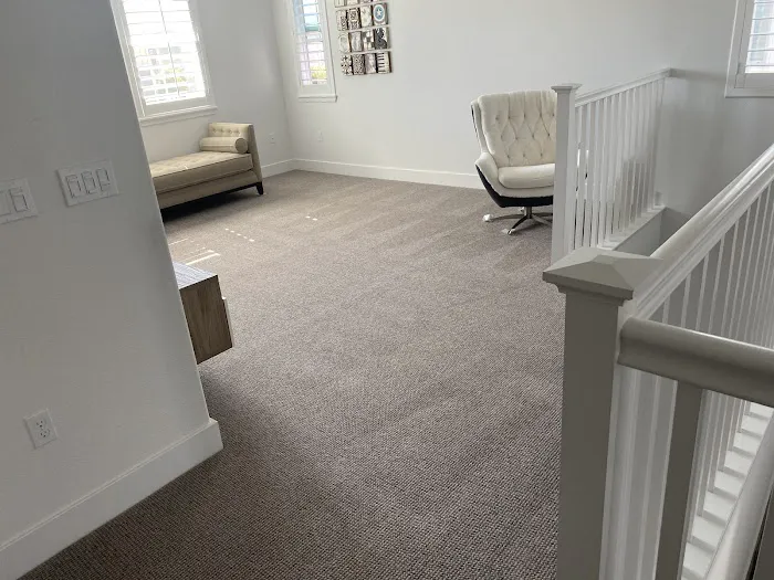 Stanley Steemer Picture 9