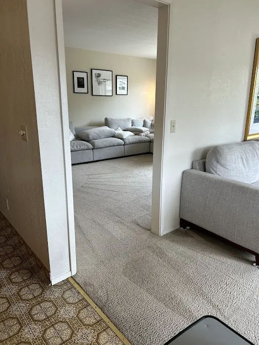 Stanley Steemer Picture 5