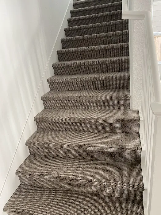 Stanley Steemer Picture 7