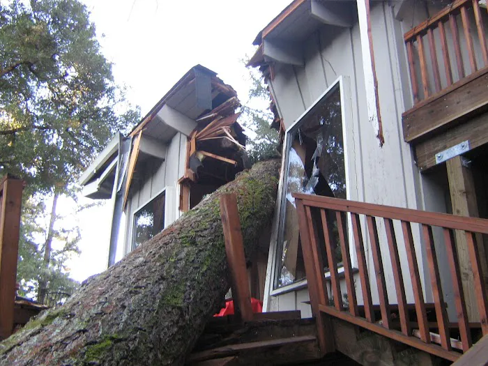 Disaster Kleenup Specialists Picture 9