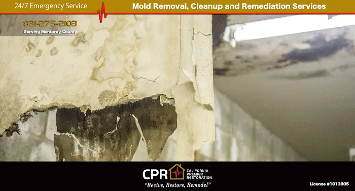 California Premier Picture 5