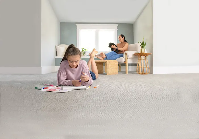 Chem-Dry Of Santa Cruz County Picture 4