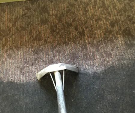 Stain Patrol Carpet Cleaning By Hugo