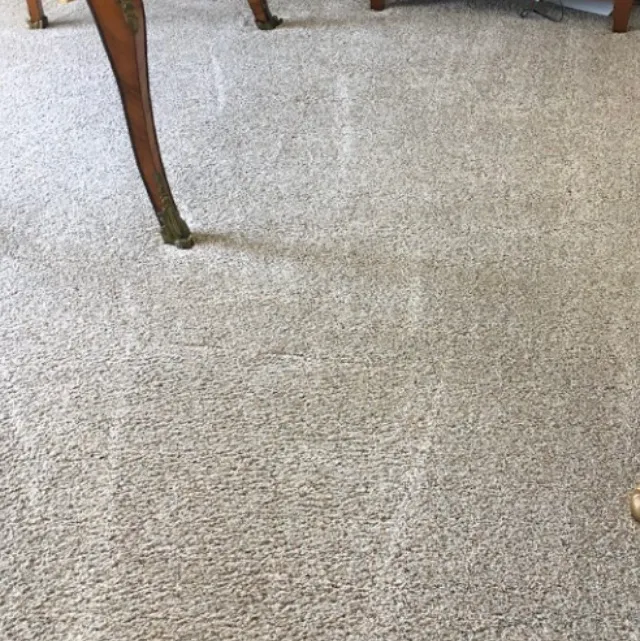 Stain Patrol Carpet Cleaning By Hugo Picture 8