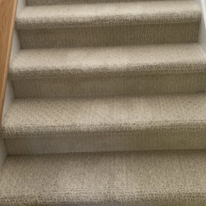 Stain Patrol Carpet Cleaning By Hugo Picture 10