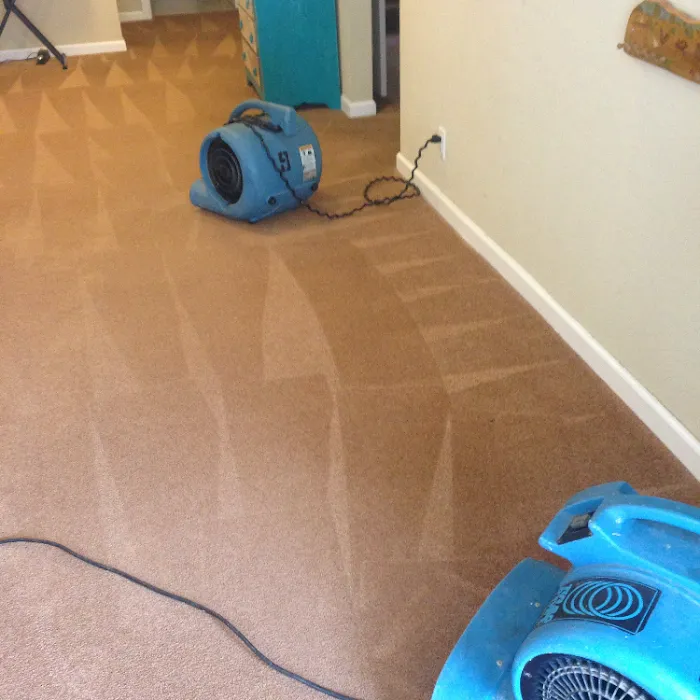 Stain Patrol Carpet Cleaning By Hugo Picture 4