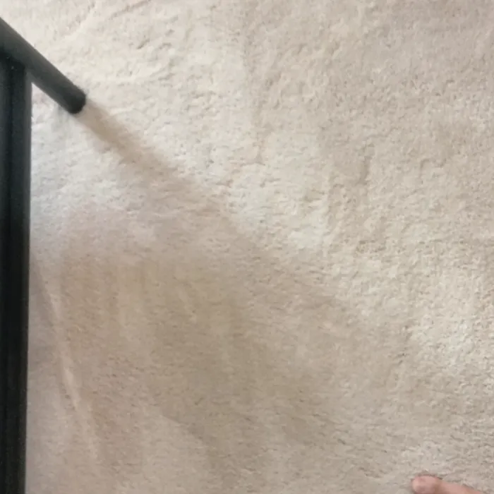 Stain Patrol Carpet Cleaning By Hugo Picture 7