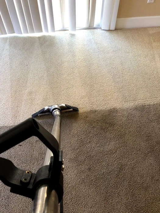 Stain Patrol Carpet Cleaning By Hugo Picture 2
