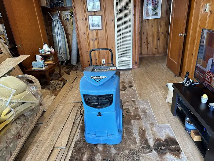 Stain Patrol Carpet Cleaning By Hugo Picture 3