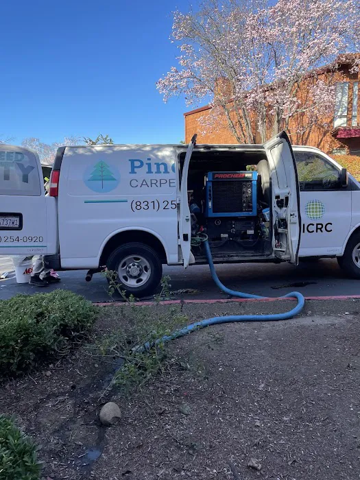 Pine Fresh Carpet Cleaning Picture 2