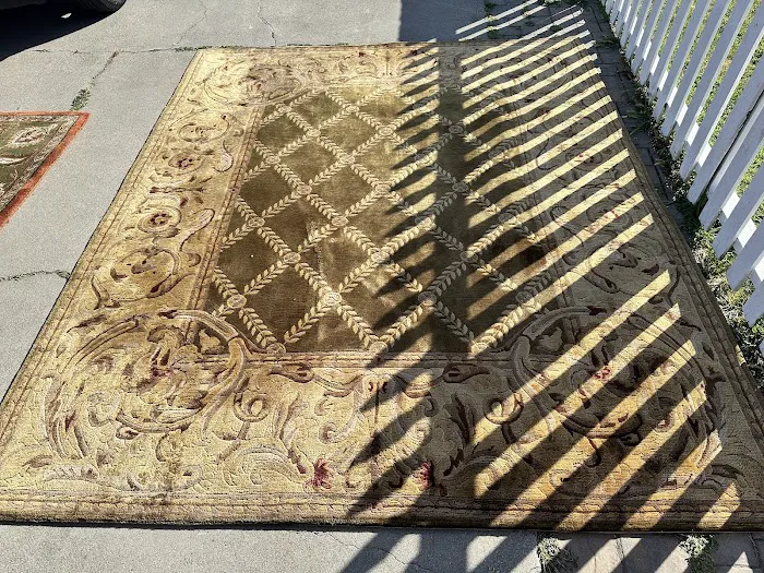 Pine Fresh Carpet Cleaning Picture 5