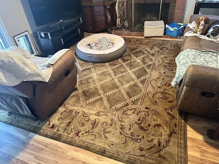 Pine Fresh Carpet Cleaning Picture 6