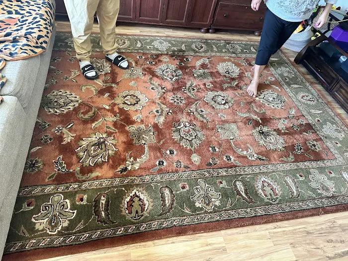 Pine Fresh Carpet Cleaning Picture 3