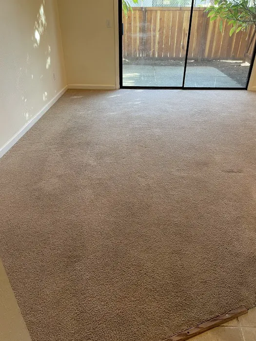 Pine Fresh Carpet Cleaning Picture 1