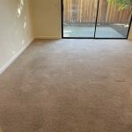Pine Fresh Carpet Cleaning