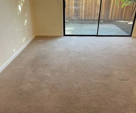 Pine Fresh Carpet Cleaning