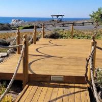 Division Painting Inc ico