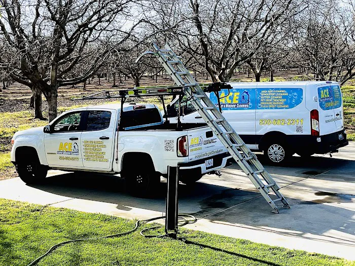 Ace Carpet Cleaning & Window Washing Picture 6