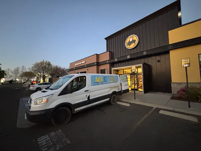 Ace Carpet Cleaning & Window Washing Picture 3