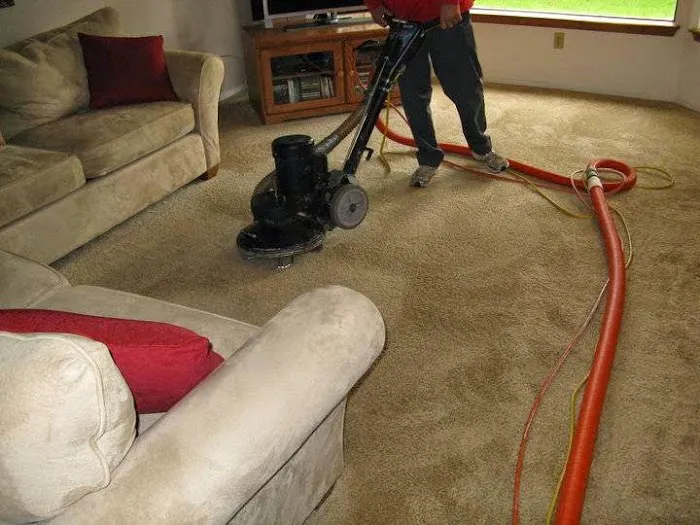 Ace Carpet Cleaning & Window Washing Picture 4