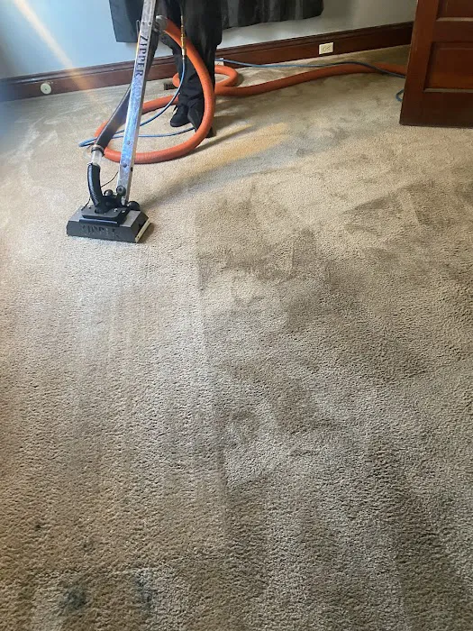 Ace Carpet Cleaning & Window Washing Picture 1