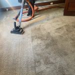 Ace Carpet Cleaning & Window Washing