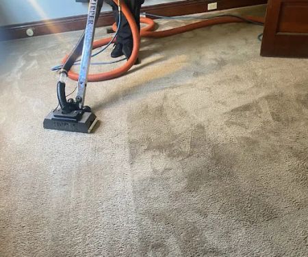 Ace Carpet Cleaning & Window Washing