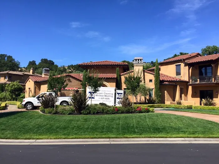 Ace Carpet Cleaning & Window Washing Picture 7