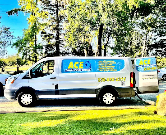 Ace Carpet Cleaning & Window Washing Picture 8