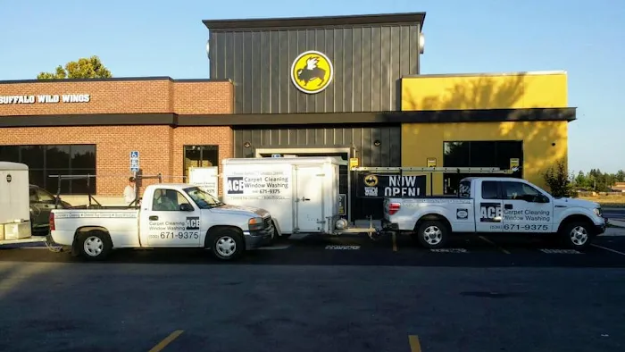 Ace Carpet Cleaning & Window Washing Picture 10