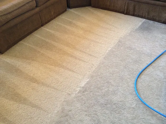 High Performance Carpet Cleaning Picture 9