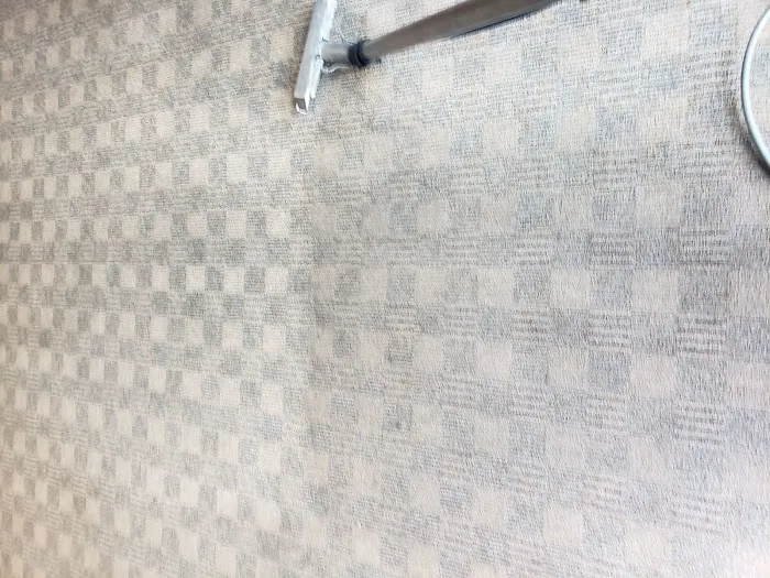 High Performance Carpet Cleaning Picture 7