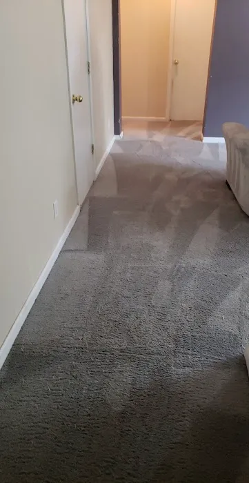 High Performance Carpet Cleaning Picture 2